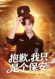 抱歉我只是个保安