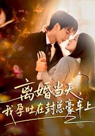 离婚当天我孕吐在封总豪车上