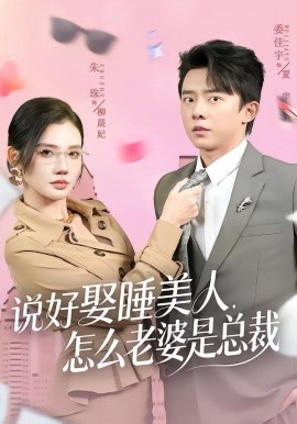 说好娶睡美人，怎么老婆是总裁封面图