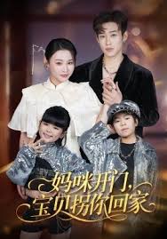 妈咪开门，宝贝拐你回家封面图