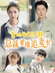 爹地别想逃总裁爹地追妻忙