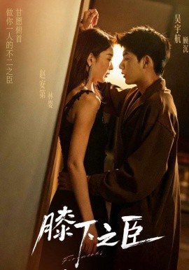 膝下之臣封面图