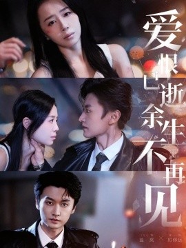 爱恨已逝，余生不再见封面图