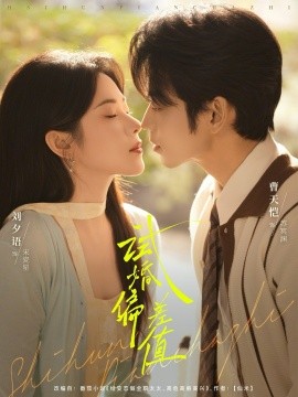 试婚偏差值封面图