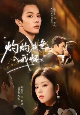 灼灼夜色入我怀封面图