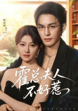 霍总夫人不好惹封面图