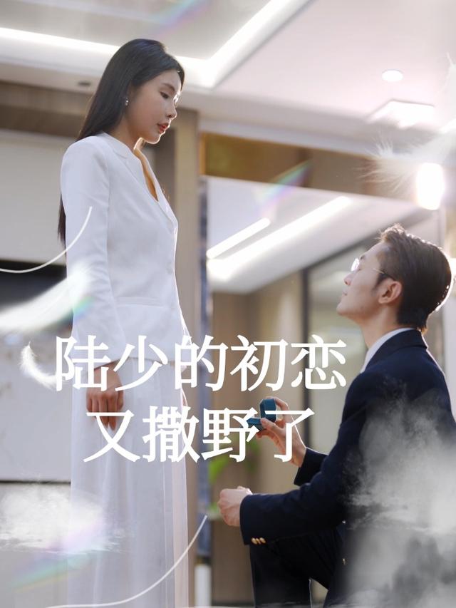 陆少的初恋又撒野了