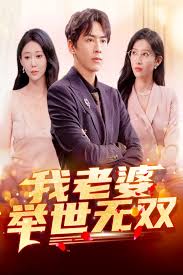 我老婆举世无双封面图
