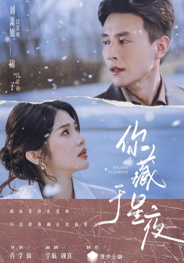 你藏于星夜封面图