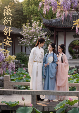 薇衍舒安封面图