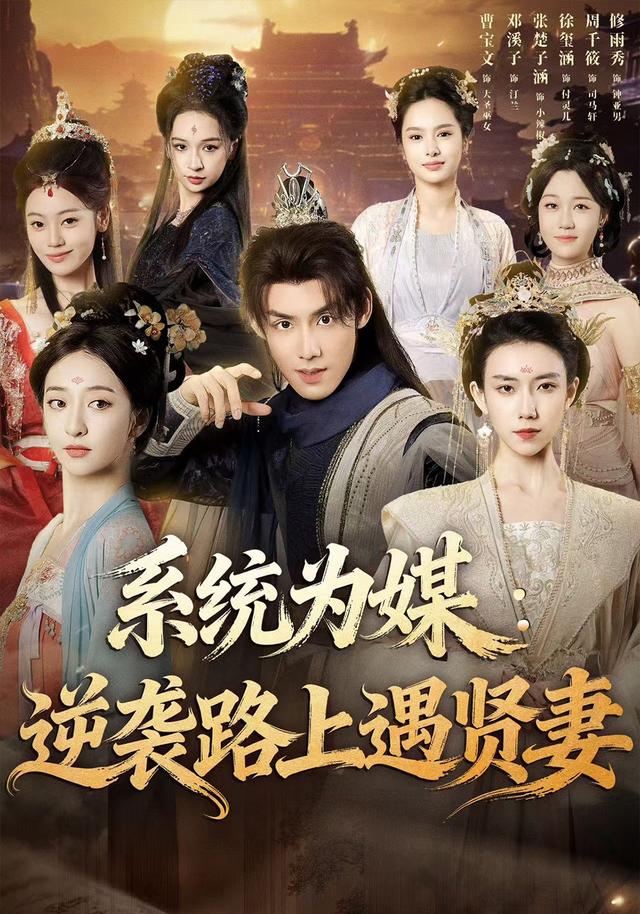 系统为媒：逆袭路上遇贤妻封面图