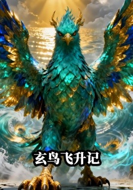 玄鸟飞升记封面图