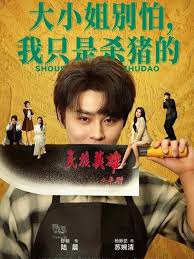 杀猪神医，大小姐别慌封面图