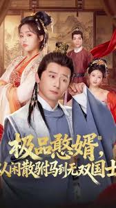 极品憨婿，从闲散驸马到无双国士封面图