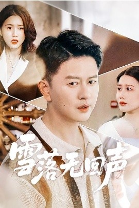 雪落无回声封面图