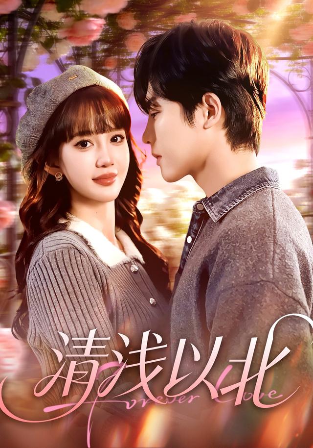 清浅以北封面图