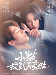 小猫捉到月亮啦封面图