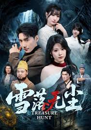 雪落无尘封面图