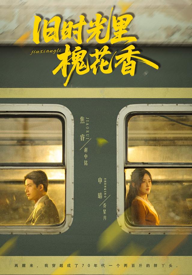 旧时光里槐花香封面图