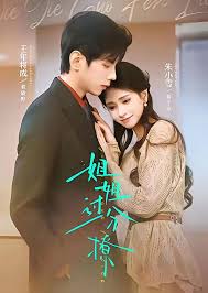 姐姐过分撩封面图