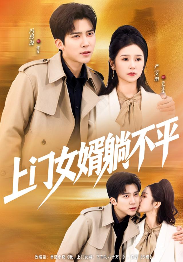 上门女婿躺不平封面图