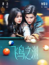 飞鸟之渊封面图