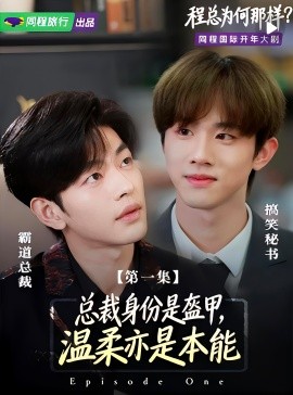 程总为何那样封面图