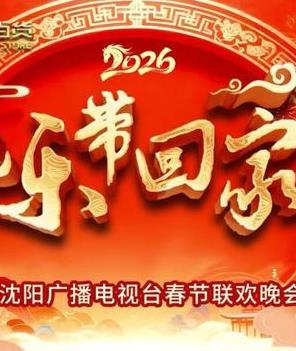 2026沈视春晚封面图