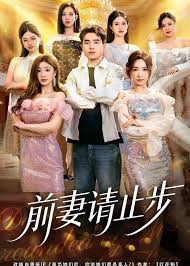 前妻请止步封面图