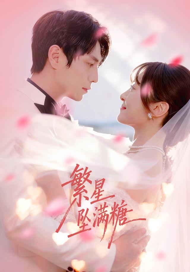 繁星坠满糖封面图