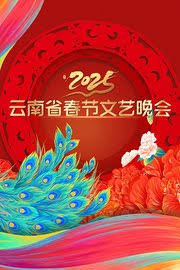 2026云南省春节文艺晚会封面图