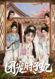 团宠肘子妃封面图