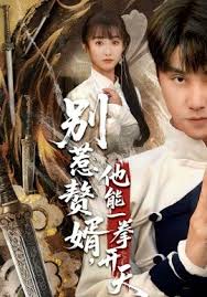 别惹赘婿，他能一拳开天封面图