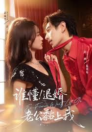 谁懂！退婚老公黏上我封面图