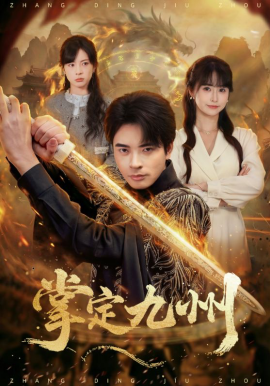 掌定九州封面图