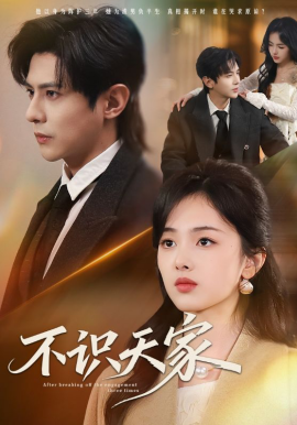 不识天家封面图