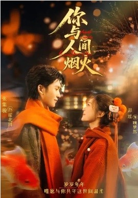 你与人间烟火封面图