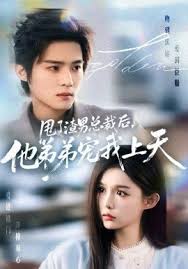 甩了渣男总裁后，他弟弟宠我上天封面图