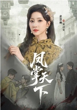 凤掌天下封面图