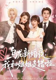 乌龙新婚夜，我和姐姐走错啦封面图