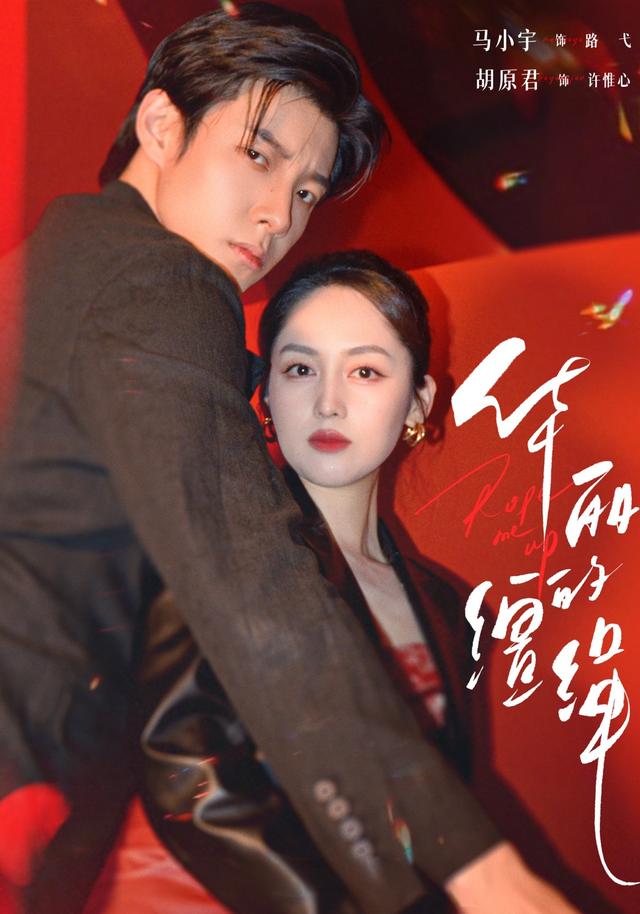 华丽的缰绳封面图