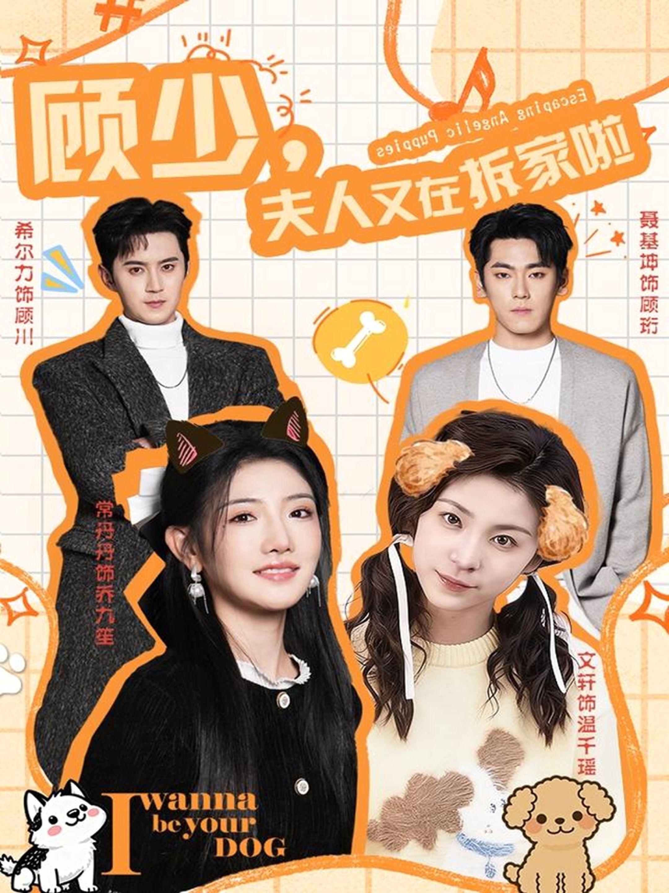 顾少，夫人又在拆家啦封面图