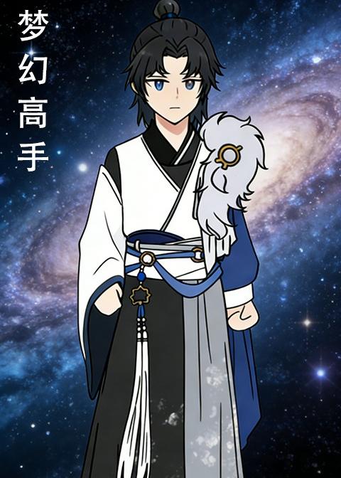 梦幻高手封面图