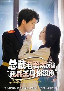 总裁老婆太厉害，我兵王身份没用封面图