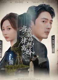 当离婚律师想离婚封面图