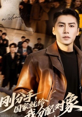 刚分手，国家就给我分配对象封面图