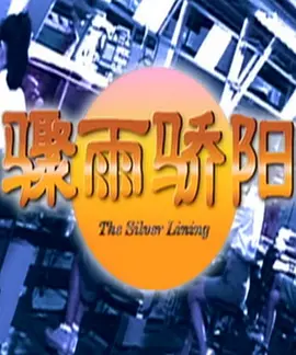 骤雨骄阳封面图