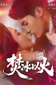 焚冰以火封面图