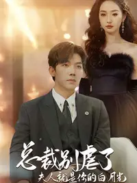 君少别虐了，夫人才是你的白月光封面图