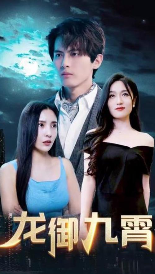 龙御九霄封面图